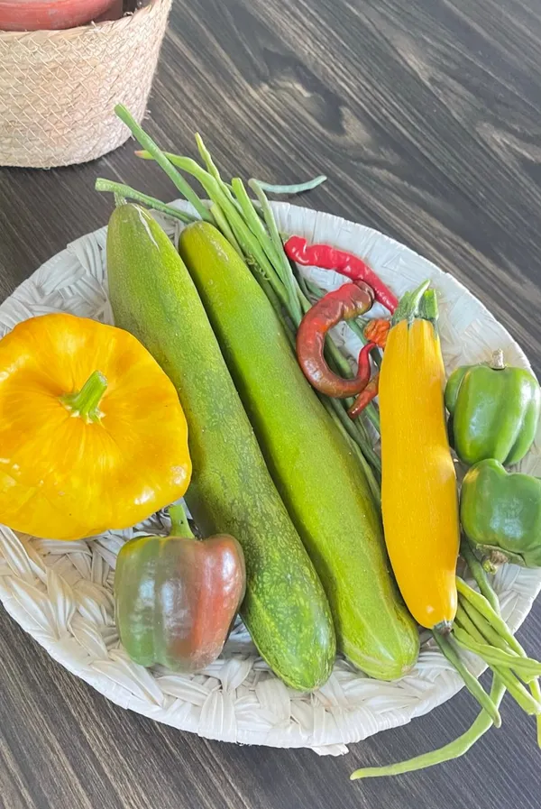 Cosecha de nuestro huerto: zucchini amarillo, pepino, pimentones y ají