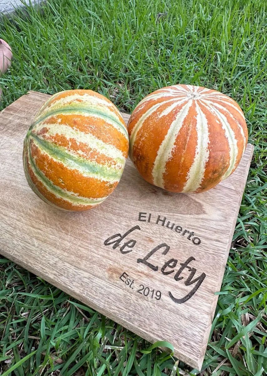 Melones Kajari de nuestro huerto sobre la tabla de El Huerto de Lety