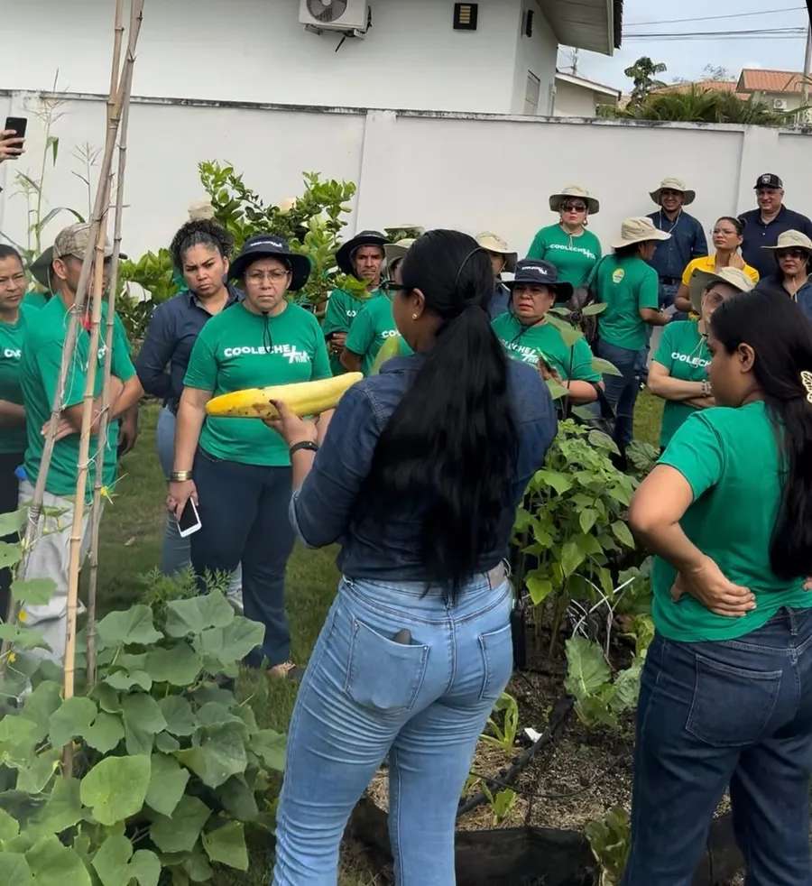 Equipo de una empresa aprendiendo a sembrar en uno de nuestros talleres