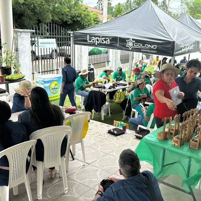 Taller corporativo de Coleche en David, con carpas y mesas de trabajo